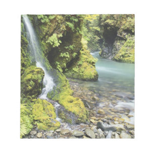 Washington, Olympic-Nationalpark, Saisonal Notizblock