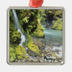Washington, Olympic-Nationalpark, Saisonal Ornament Aus Metall