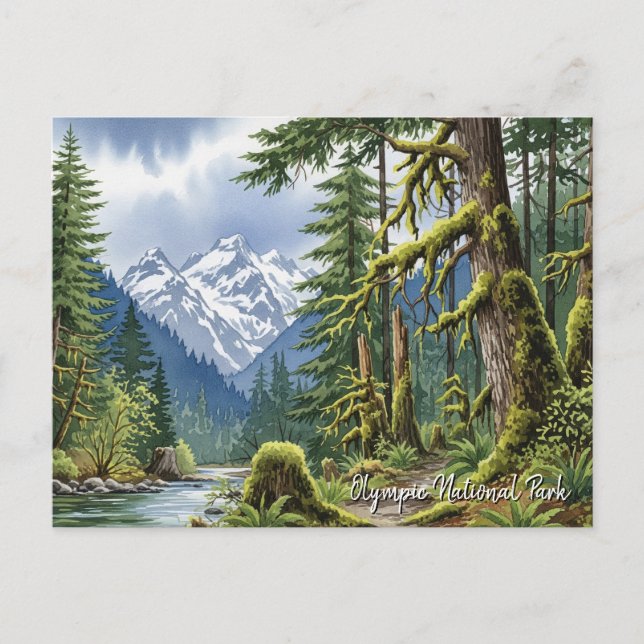 Washington olympischer Nationalpark mit Regenwald Postkarte (Vorderseite)