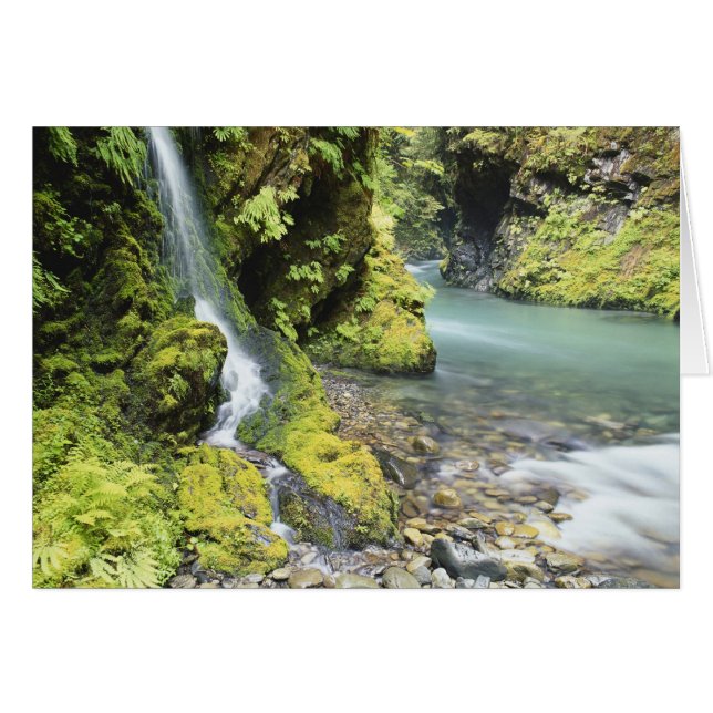 Washington, Olympischer Nationalpark, Saison (Vorderseite (Horizontal))