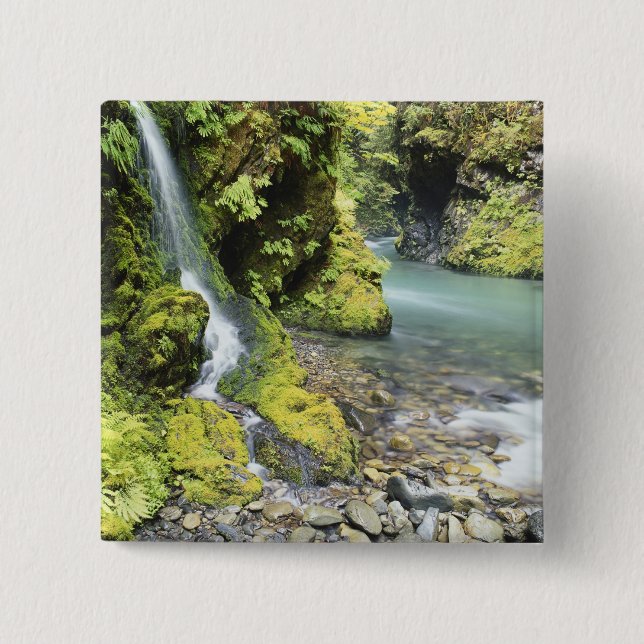Washington, Olympischer Nationalpark, Saison Button (Vorderseite)