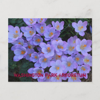 Washington-Park-Arboretum Ankündigungspostkarte