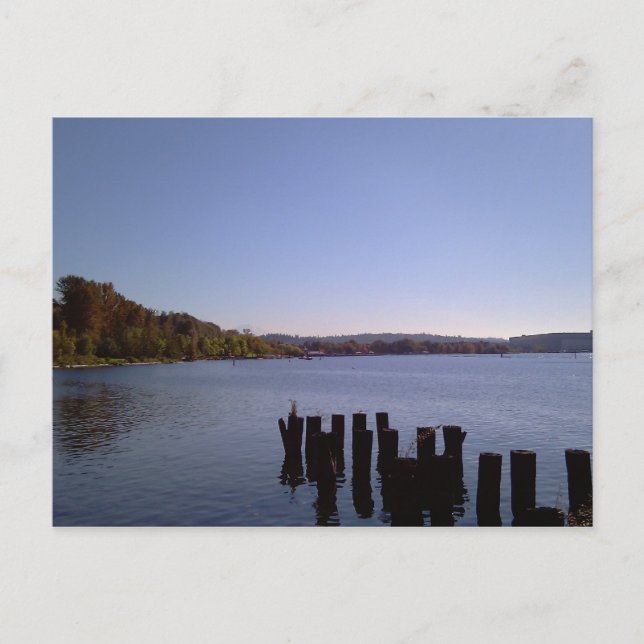 Washington Postkarte (Vorderseite)