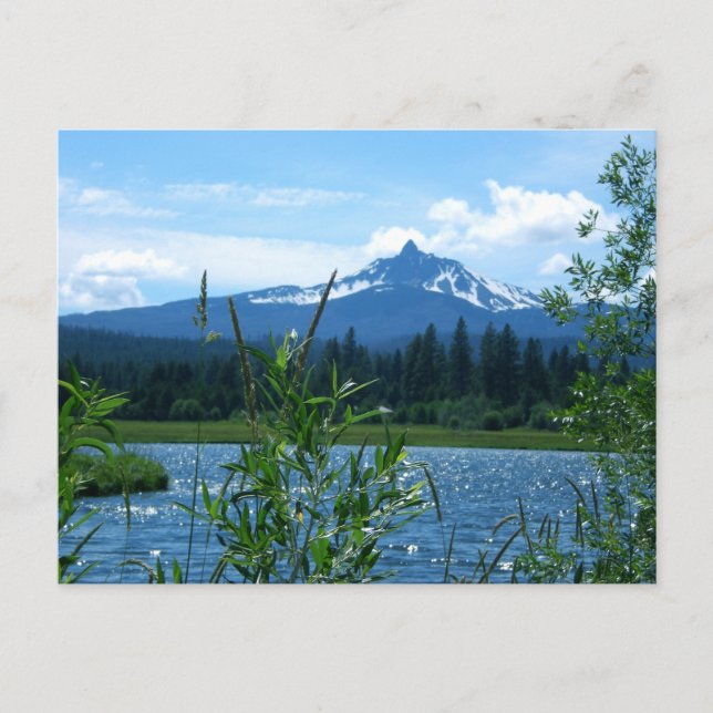 Washington Postkarte (Vorderseite)