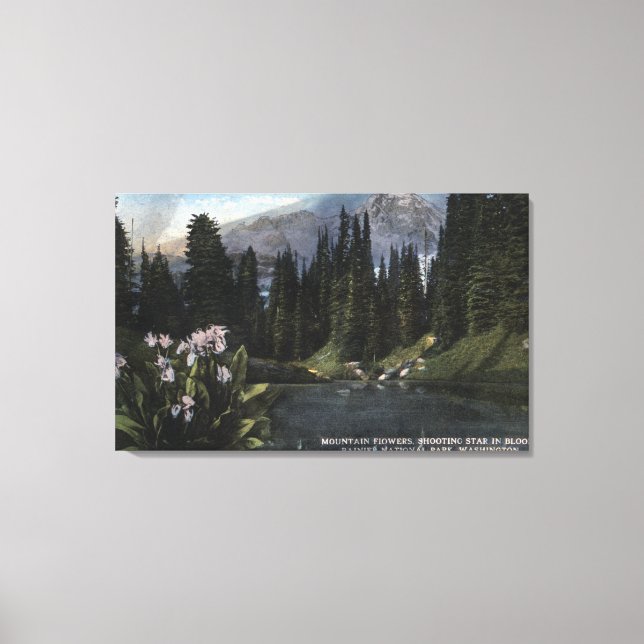 Washington - Rainier National Park, Shooting Sta Leinwanddruck (Vorderseite)