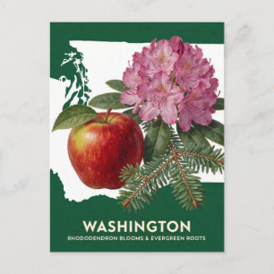 Washington Rhododendron Apfel und Staatssymbole Postkarte