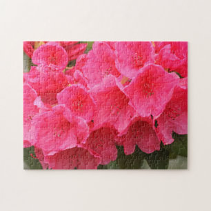 Washington, Seattle, Puget Sound, Discovery Park