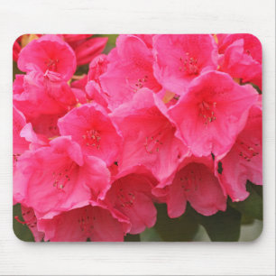 Washington, Seattle, Puget Sound, Discovery Park Mousepad