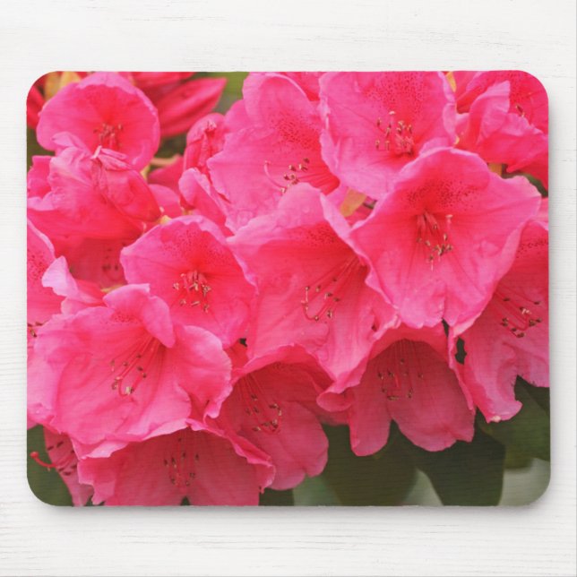 Washington, Seattle, Puget Sound, Discovery Park Mousepad (Vorne)