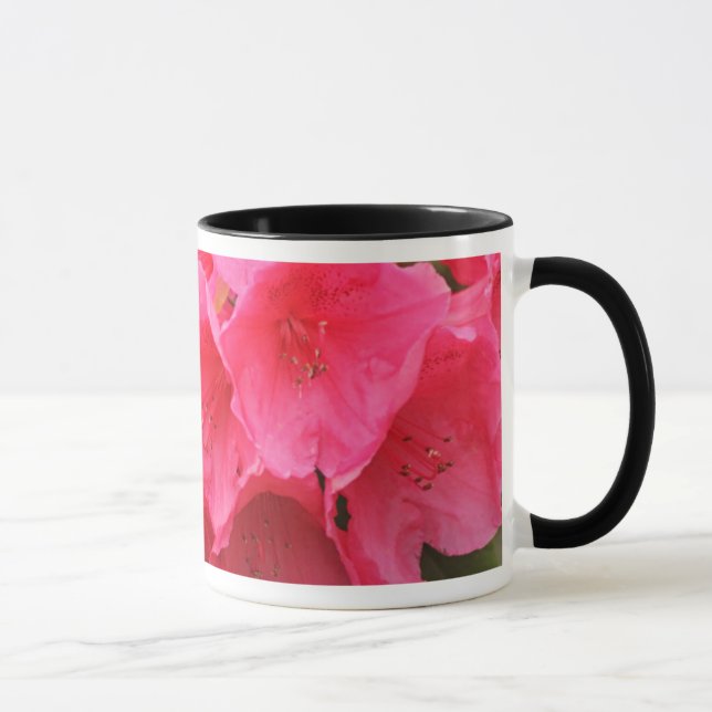 Washington, Seattle, Puget Sound, Discovery Park Tasse (Rechts)