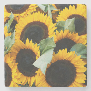 Washington, Seattle, Sonnenblume zu verkaufen Pike Steinuntersetzer