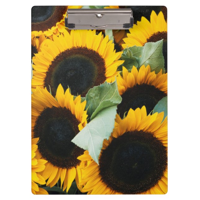 Washington, Seattle, Sonnenblume zum Verkauf Klemmbrett (Vorderseite)