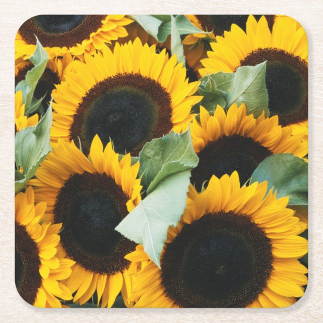 Washington, Seattle, Sonnenblume zum Verkauf Rechteckiger Pappuntersetzer (Vorderseite)