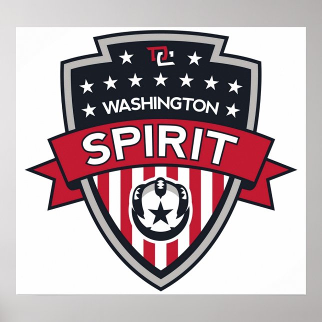 Washington Spirit Icon Poster (Vorne)