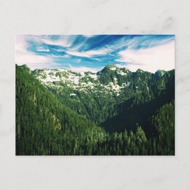 Washington Staat Postcard Postkarte (Vorderseite)