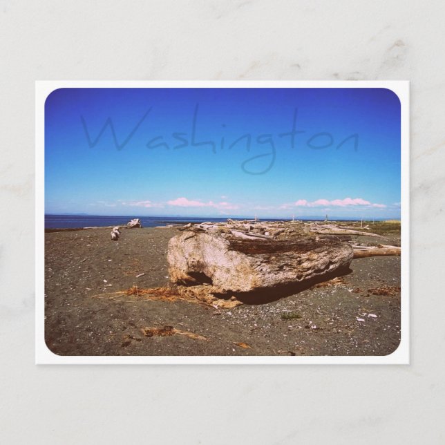 Washington Staat Seashore: Fotografie Postkarte (Vorderseite)