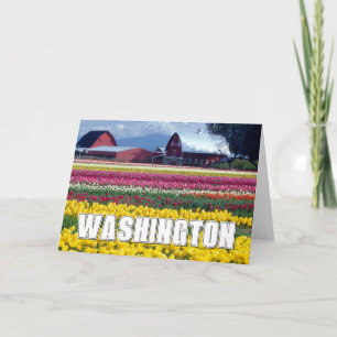 Washington Staat   Tulip Field   Vielen Dank Dankeskarte
