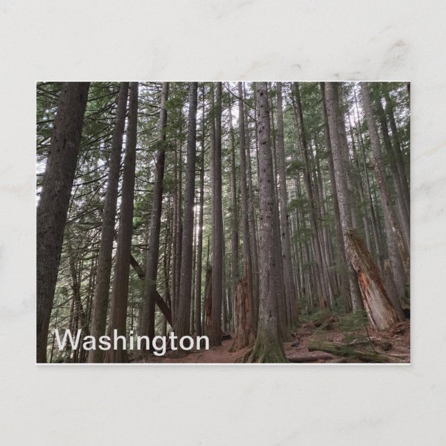 Washington State Postkarte (Vorderseite)