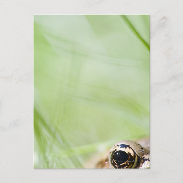 Washington, USA Postkarte (Vorderseite)