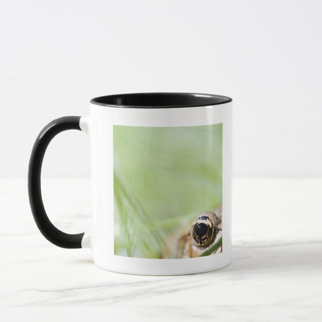 Washington, USA Tasse (Links)