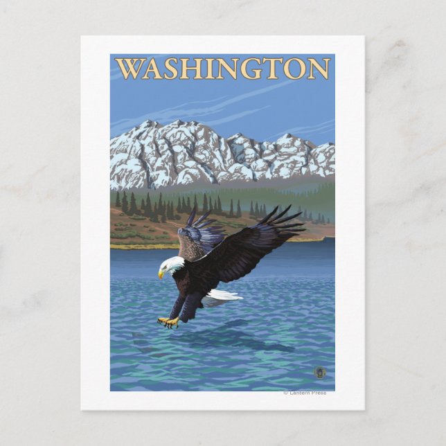 WashingtonDiving Eagle Postkarte (Vorderseite)