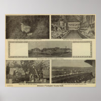 Washingtons vielseitiger Nervenkitzel