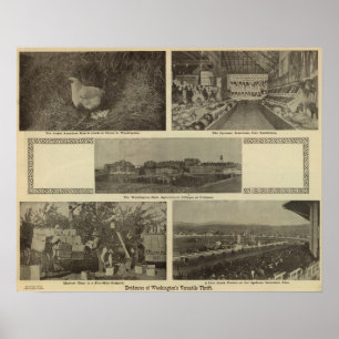 Washingtons vielseitiger Nervenkitzel Poster