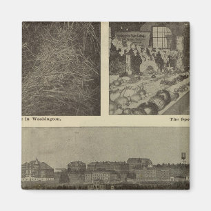 Washingtons vielseitiger Sparkurs Magnet