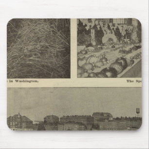 Washingtons vielseitiger Sparkurs Mousepad