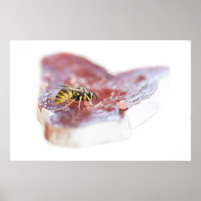 Wasp Essen eine Wurst Poster (Vorne)