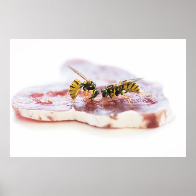 Wasps essen eine Wurst Poster (Vorne)