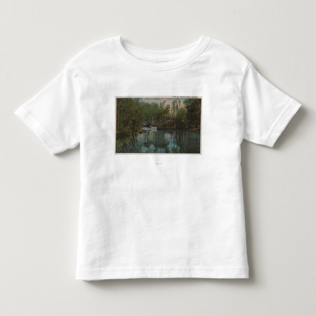 Wasser-Ansicht von Tomoka Fluss u. von Sumpf, Kleinkind T-shirt (Vorderseite)