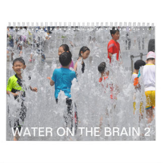 Wasser auf dem Gehirn 2 Kalender