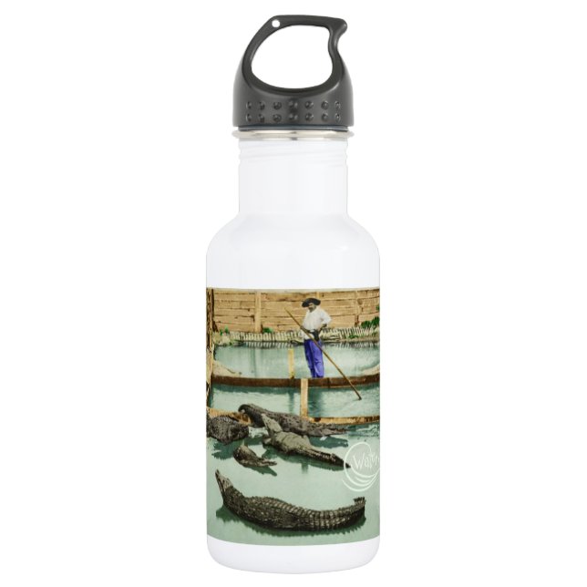 Wasser-Baby-Alligatorjoe-Wasser-Flasche Edelstahlflasche (Vorderseite)