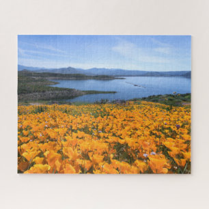 Wasser California Lake with Golden Poppies