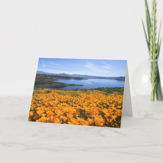 Wasser | California Lake with Golden Poppies Karte (Vorderseite)