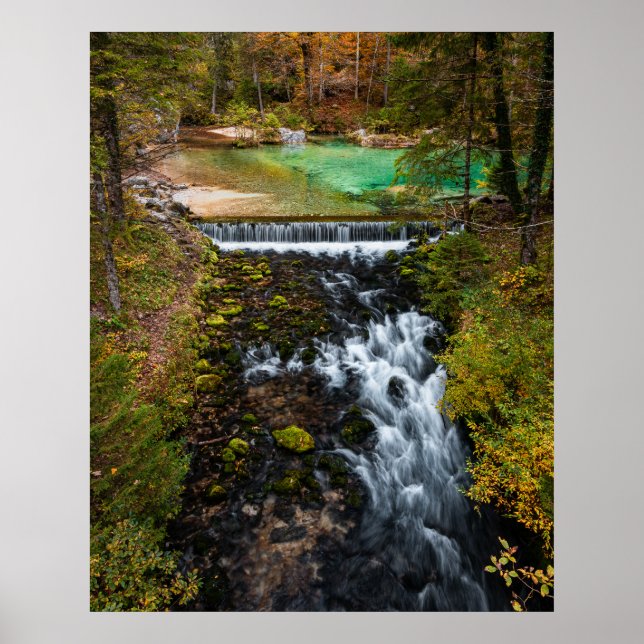 Wasser, das durch den Herbstwald fließt Poster (Vorne)