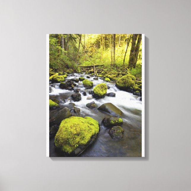 Wasser, das durch Moos bedeckt ist, Felsen in eine Leinwanddruck (Vorderseite)