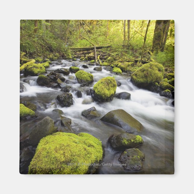 Wasser, das durch Moos bedeckt ist, Felsen in eine Magnet (Vorne)