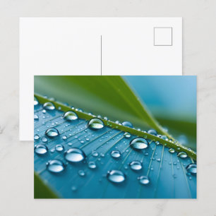 Wasser fällt auf Blätter Postkarte