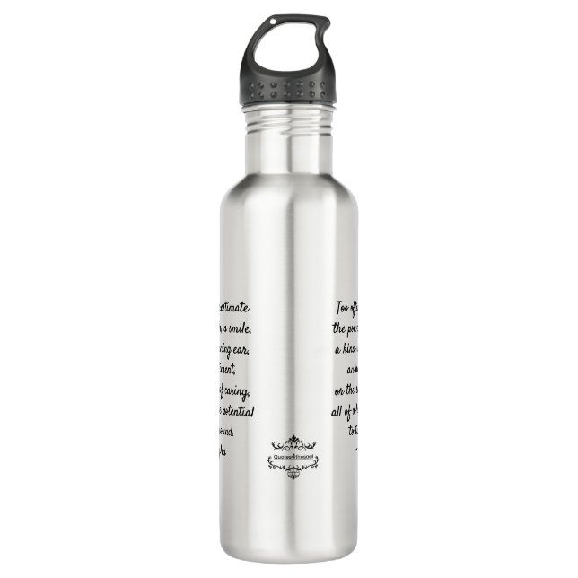 Wasser-Flasche ~ motivierend Zitat durch Löwen Edelstahlflasche (Vorderseite)