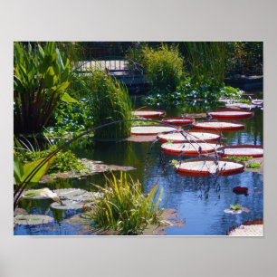 Wasser-Garten-Foto-Poster-Druck Poster