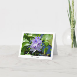 Wasser Hyacinth Sammelkarten Karte
