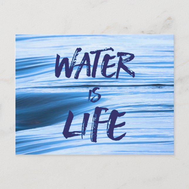 Wasser ist Leben. No DAPL, Keystone XL, Kohleasche Postkarte (Vorderseite)