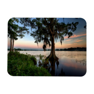 Wasser   Kraft Azalea Park Maitland Florida Magnet