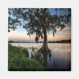 Wasser Kraft Azalea Park Maitland Florida Magnet
