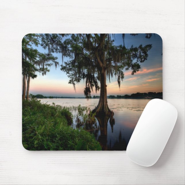 Wasser | Kraft Azalea Park Maitland Florida Mousepad (Mit Mouse)