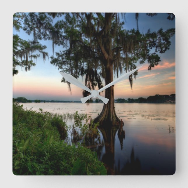 Wasser | Kraft Azalea Park Maitland Florida Quadratische Wanduhr (Vorderseite)