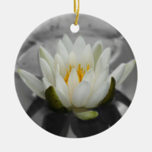 Wasser-Lilie BW-Blumen-Verzierung Keramik Ornament