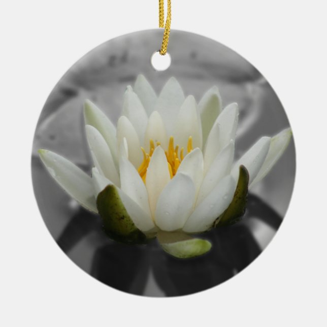 Wasser-Lilie BW-Blumen-Verzierung Keramik Ornament (Vorne)